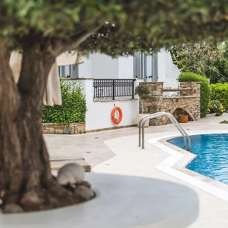 Lejlighedshotel Summer Dream Ii Agia Anna (Naxos)